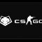 Winterfox Yeni CS:GO takımını duyurdu!