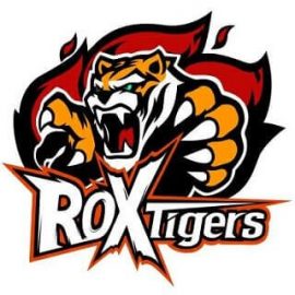 ROX Tigers Overwatch Takımını Tanıttı